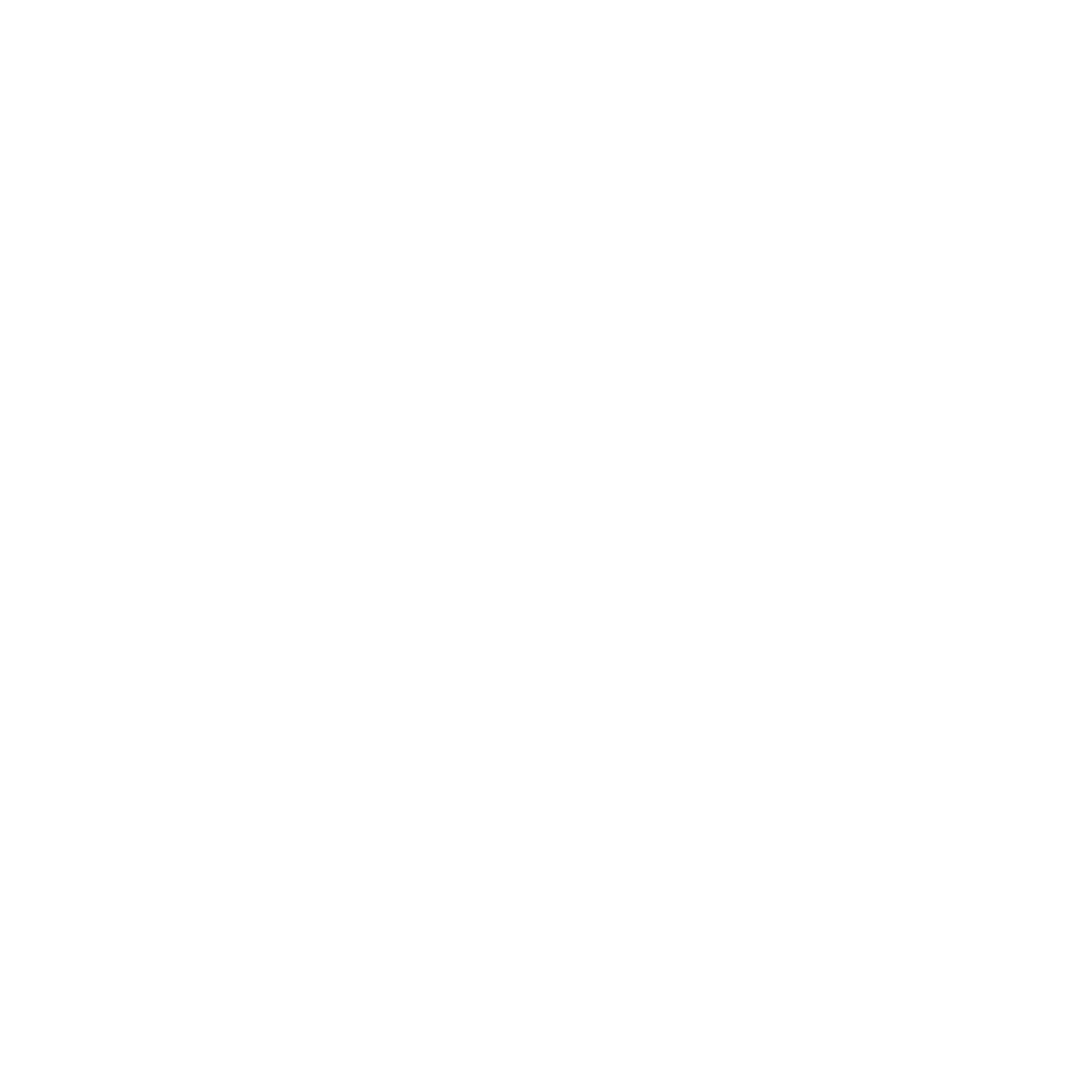 shadcn icon